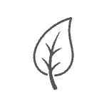 Nachhaltigkeits-Icon in Blattform